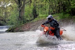 img_5369.jpg